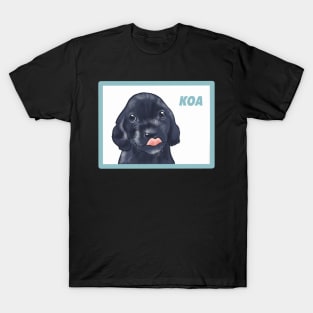 Koa T-Shirt